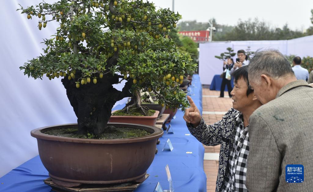 不限制ip免费送体验金